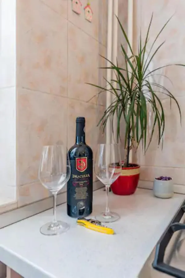 Cosy & Chic Studio Close By Victoria Square Bukareszt Apartament
